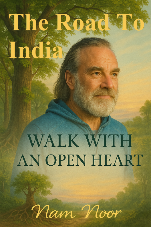The Road To India Nam Noor Book